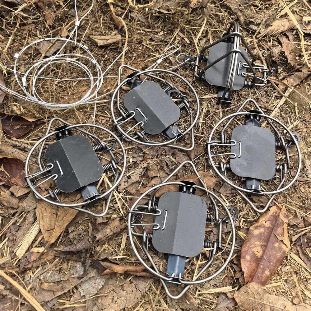 5Pc & 4-3/10 In Strong Power 4 Coil Spring Trap Nutria Rabbit Fox Gopher Mole