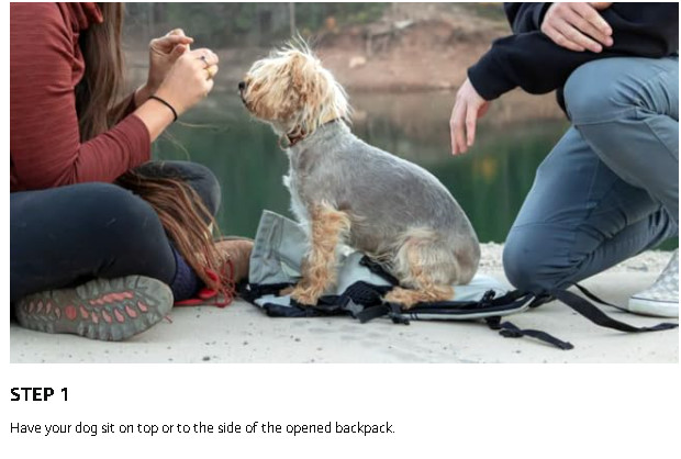 Extra Small Size Dog Backpack Airline Approved Carrier Maximum Weight 25 Pounds