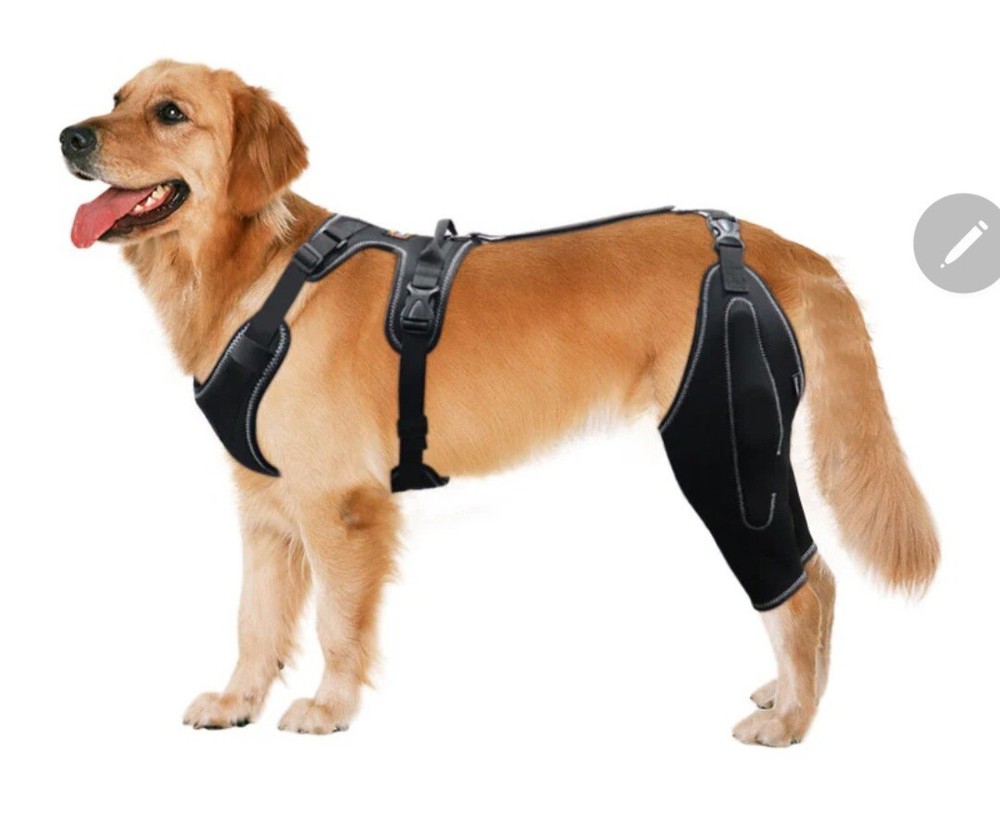 LISPOO Dog Knee Support Brace Size Large ~ NEW (Open Box)