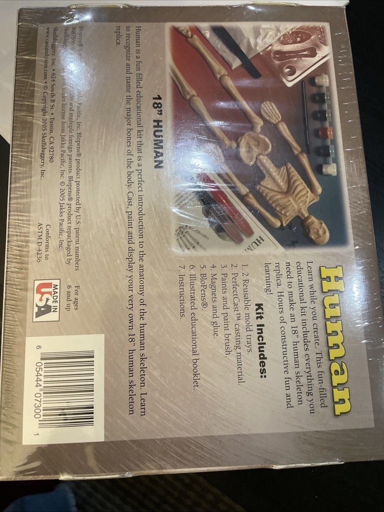 Human Skeleton Custom Cast & Paint Kit - 18 " - Bones Project Science - NIB