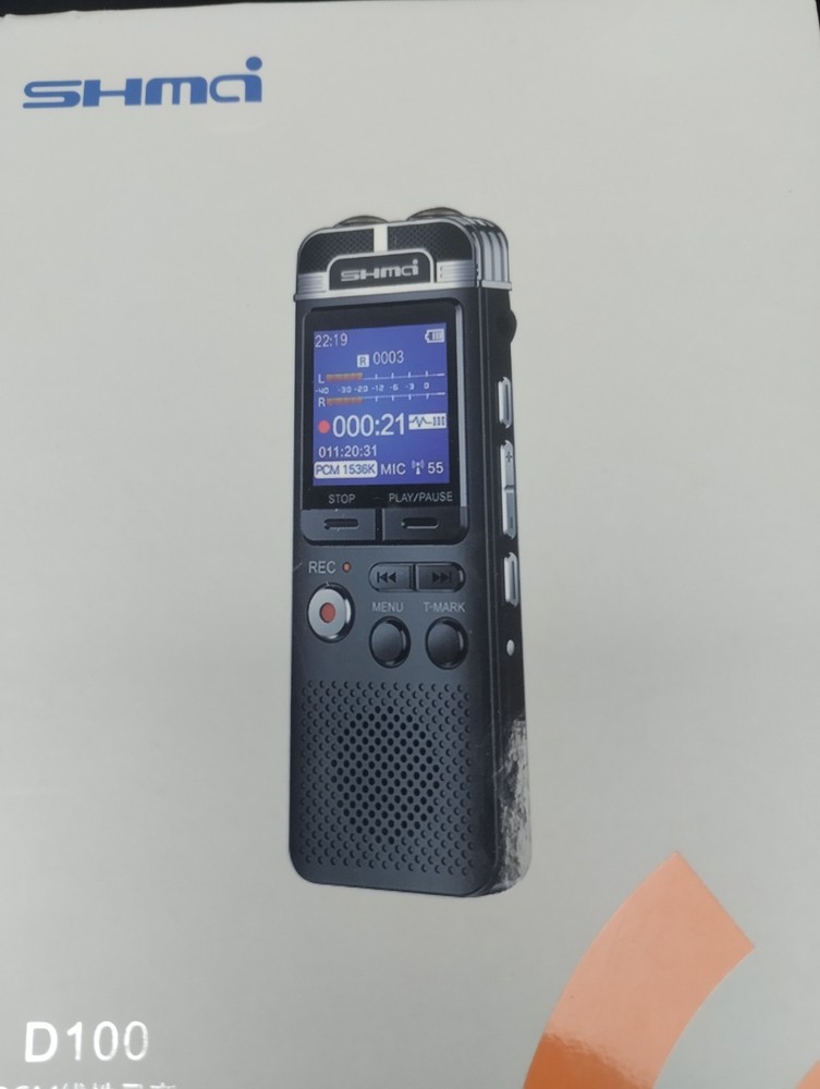 D100 Professional Dictaphone Mini Digital Audio Recorder