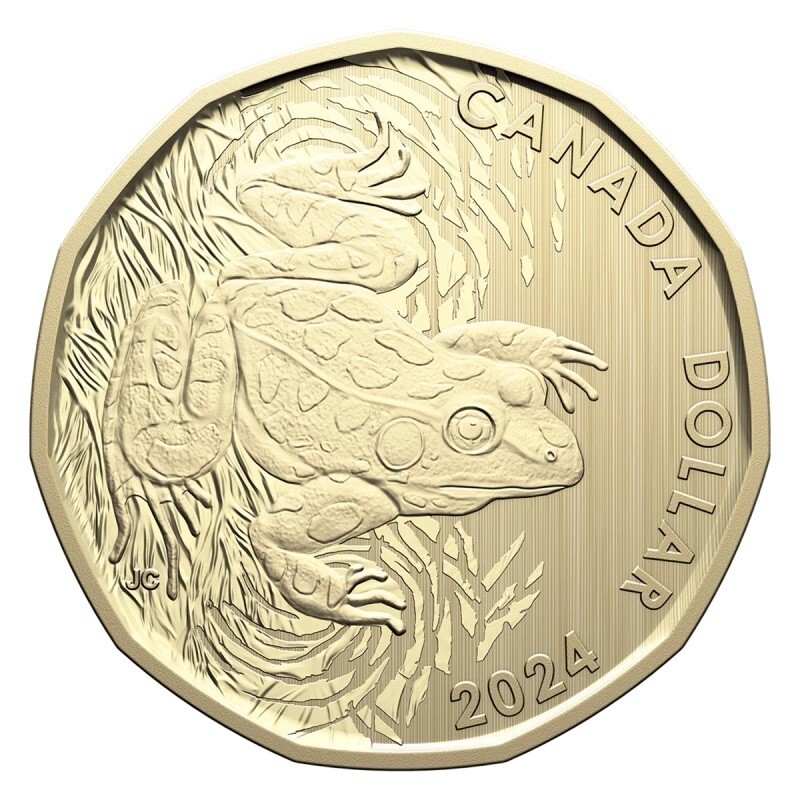Canada 2024 - Northern Leopard Frog - Specimen Loonie!!