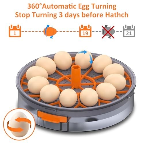Automatic Egg Incubator with Humidity Control & Temp Adjustment, 12 Eggs Capacit