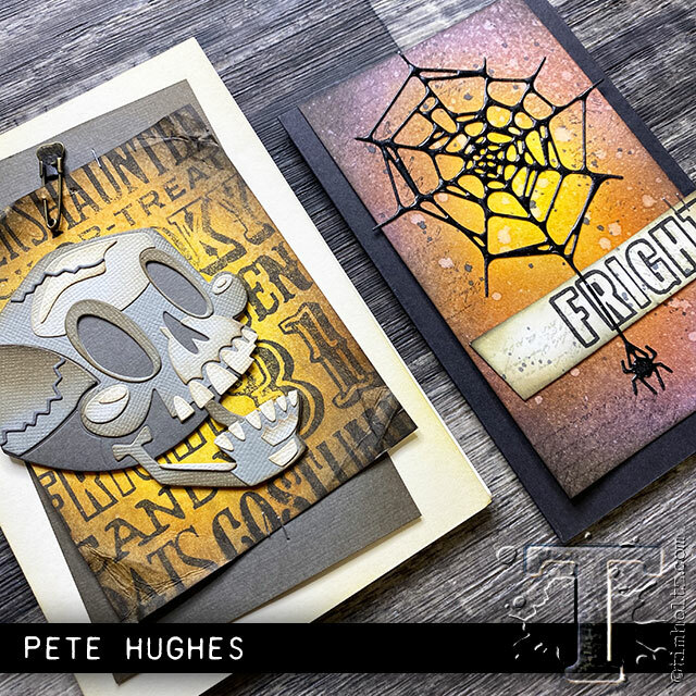 Sizzix Thinlits Spider Web #664747 2pk set Retail $14.99 by Tim Holtz