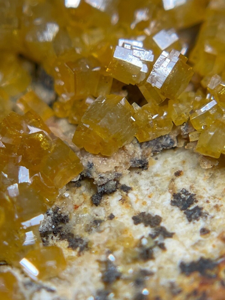 Vanadinite 37x23x10mm. Arizona