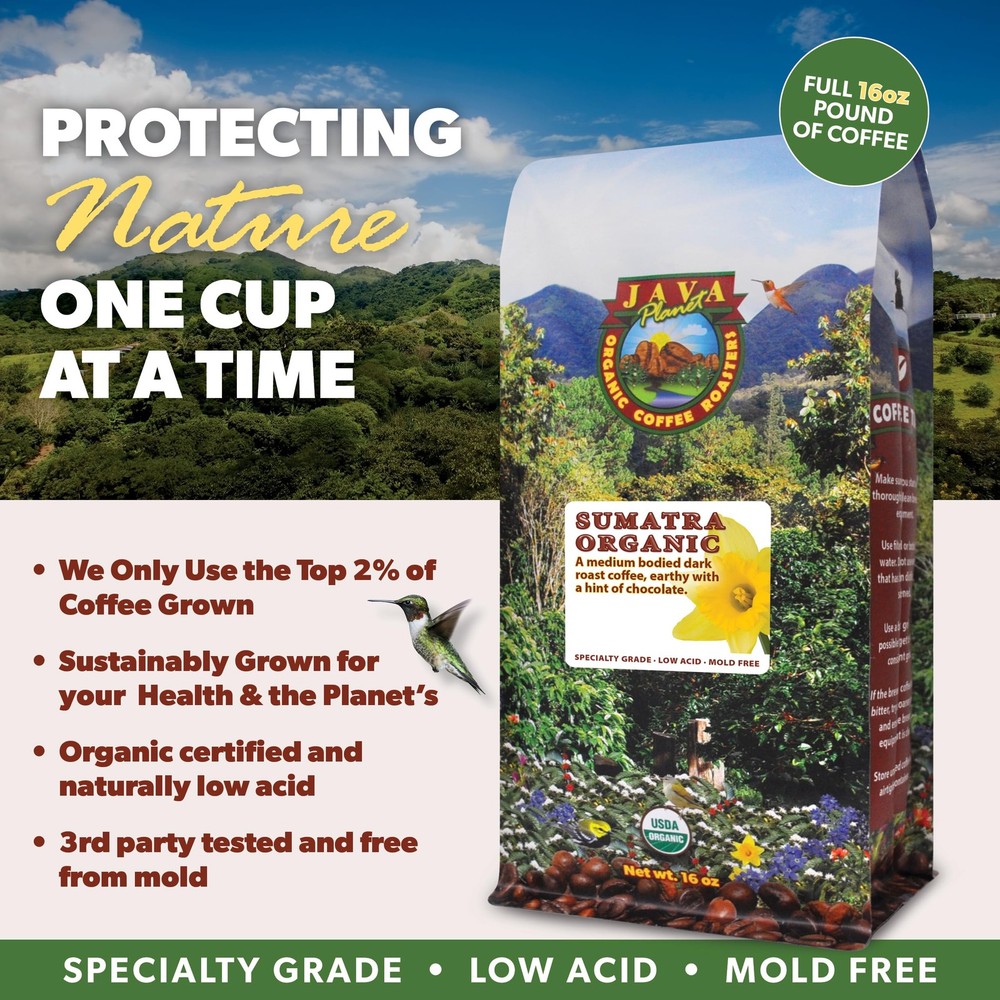 Low Acid Organic Coffee – Whole Bean, Mold-Free & Stomach Friendly by Java