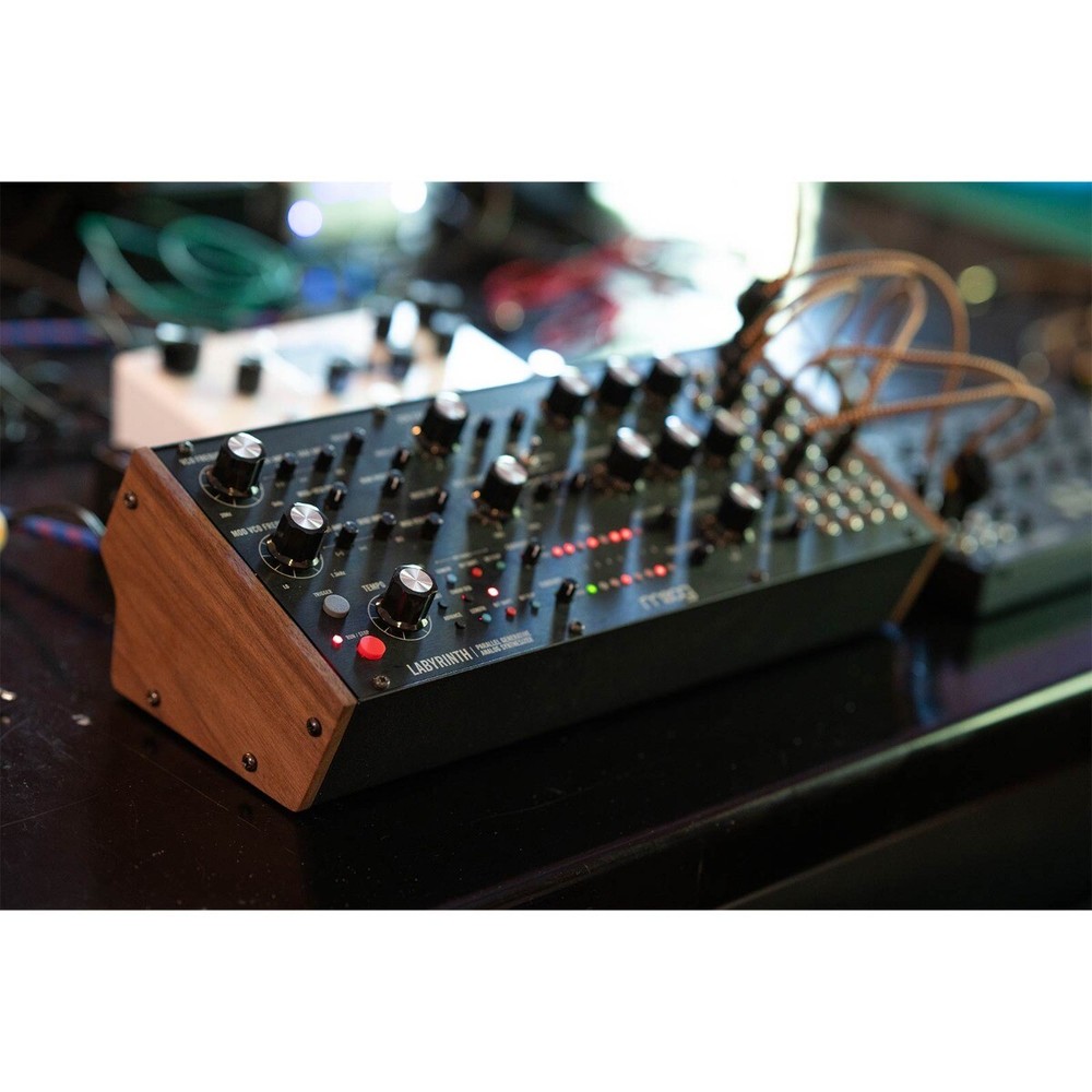 Moog Labyrinth Parallel Generative Analog Synthesizer