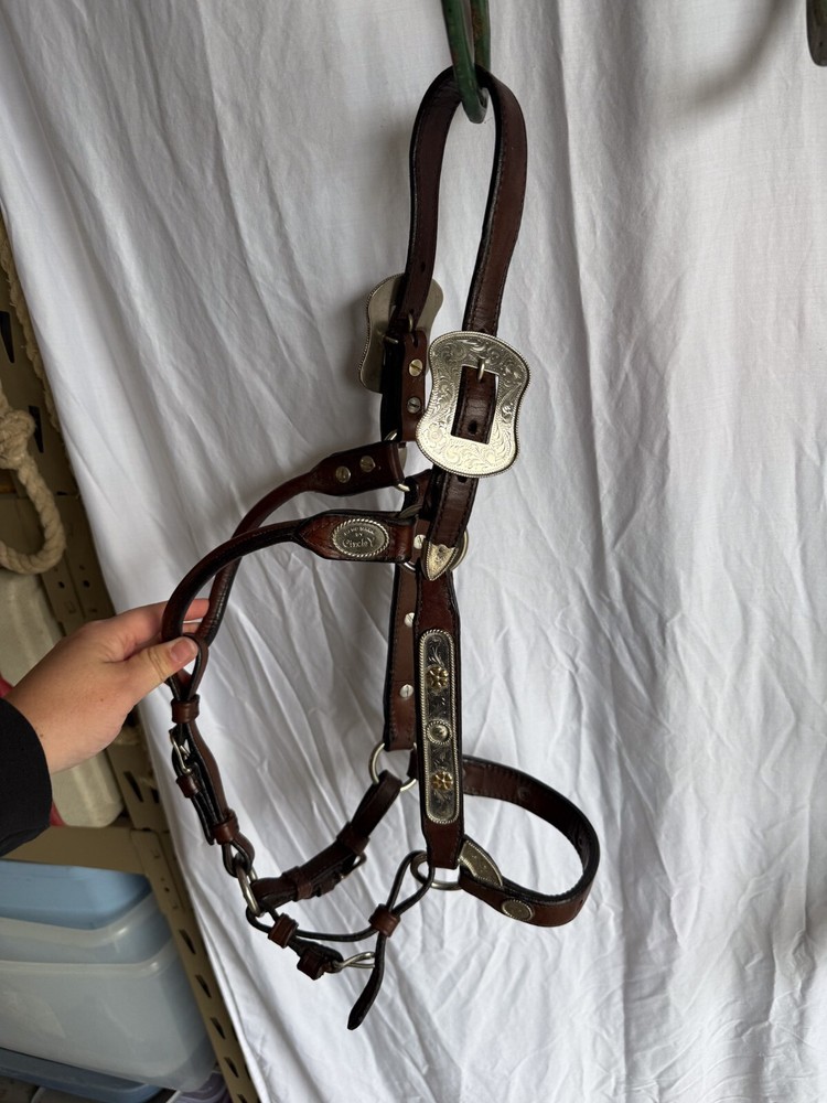 Circle Y Show Halter