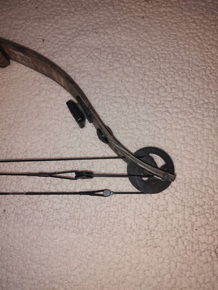 Golden Eagle Predator System Compound Bow