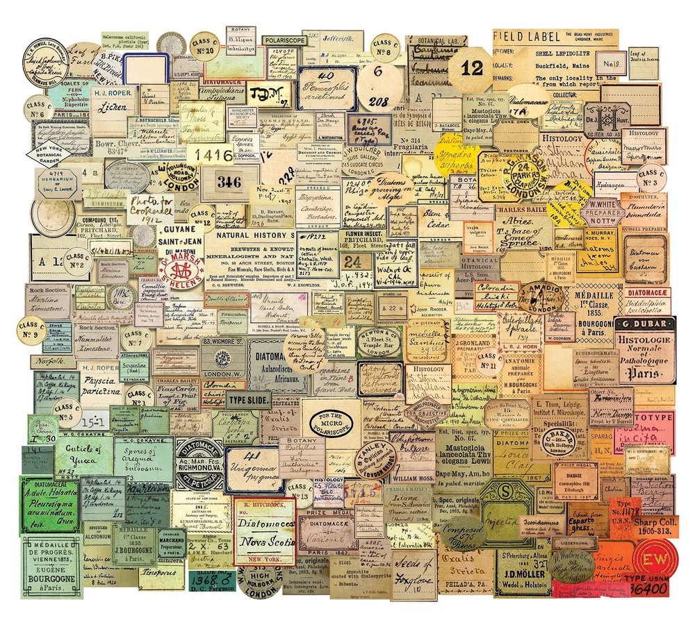 Idea-Ology Ephemera Snippets 233/Pkg-Curator