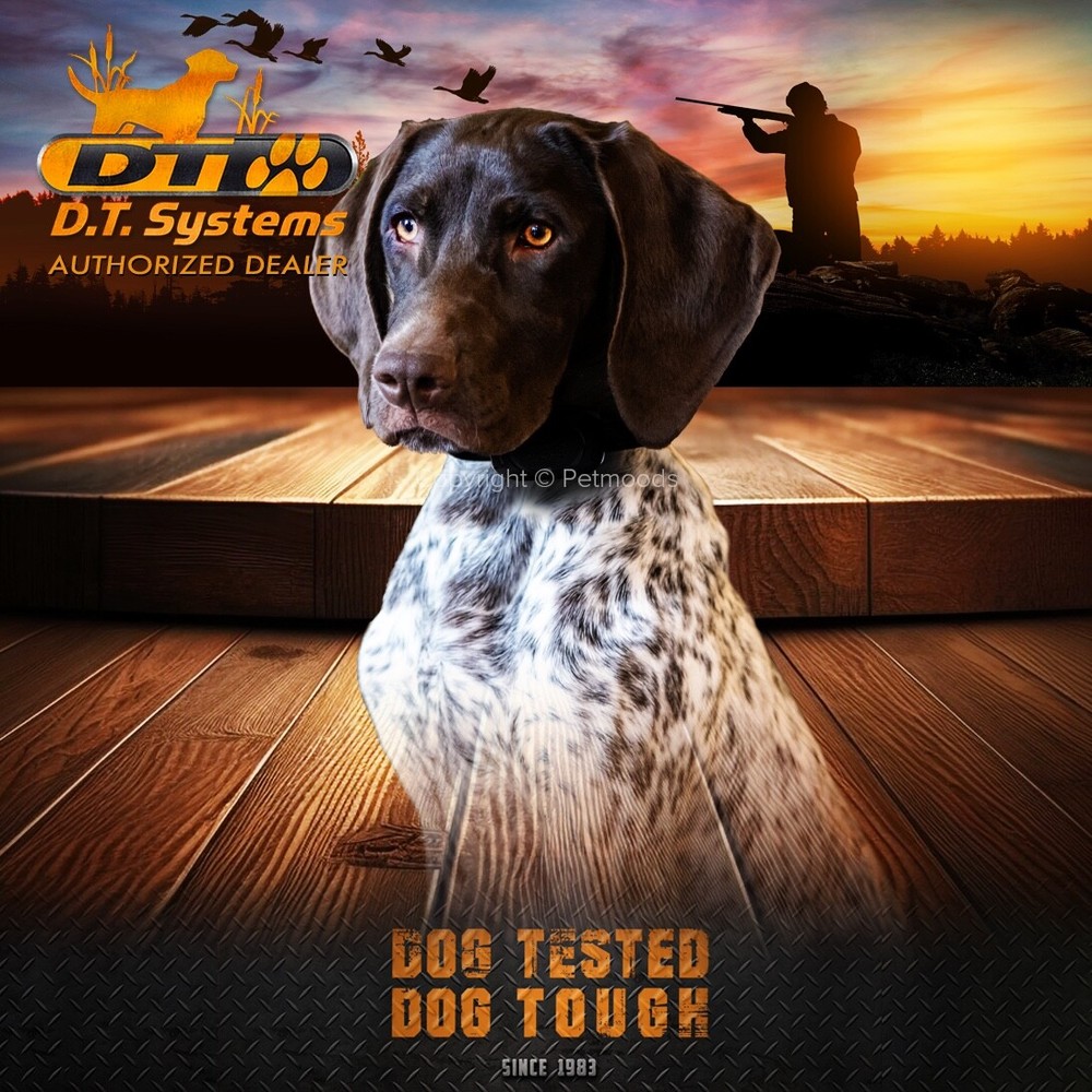 DT Systems DD700 D.O.G. Director 700 Yard Range Training System MAXX-Range 360°