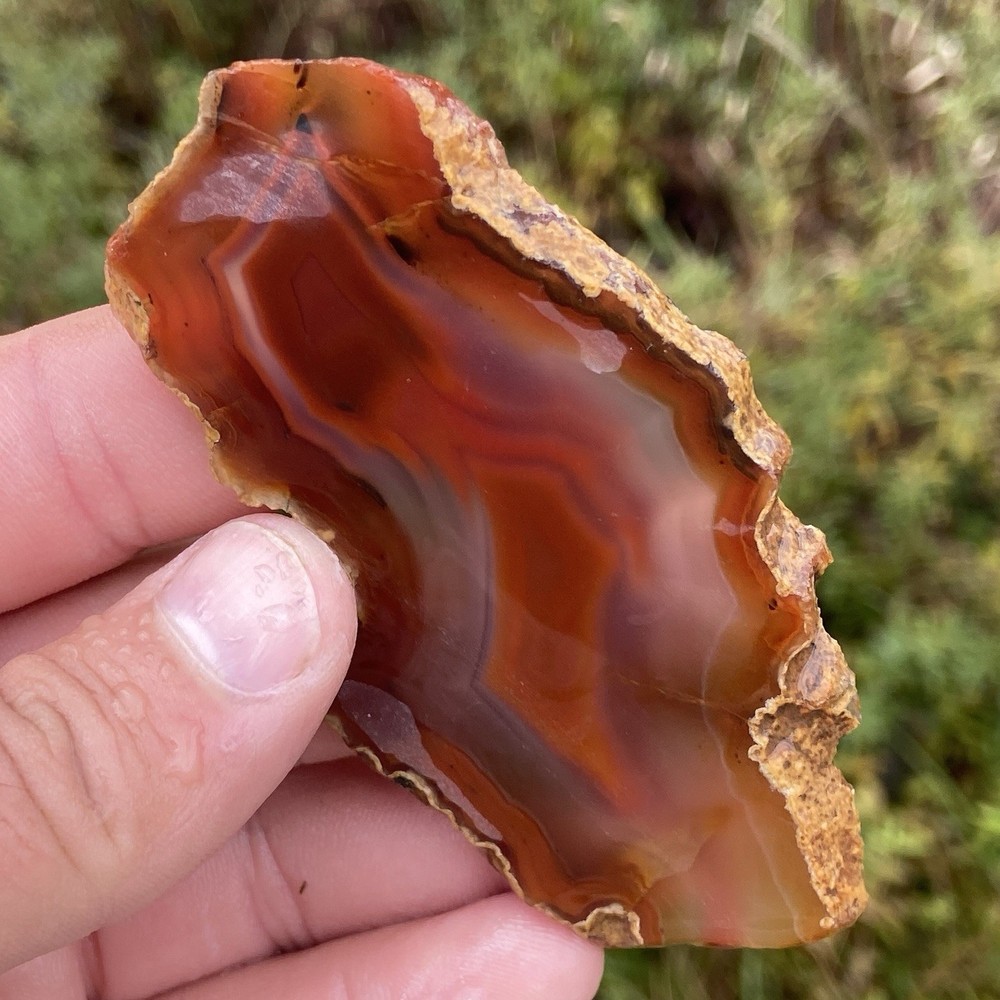 Red Laguna Agate Slab 1.48 Oz