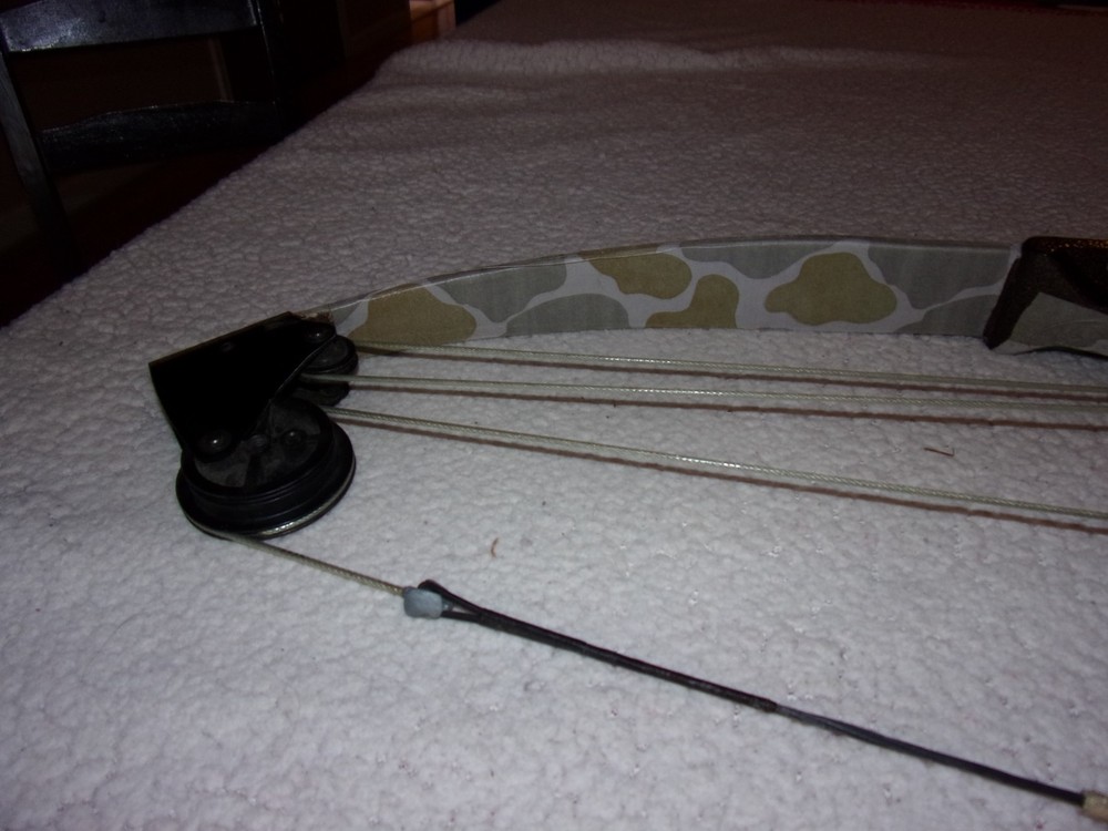 zVintage Bear Whitetail Hunter Compound Bow