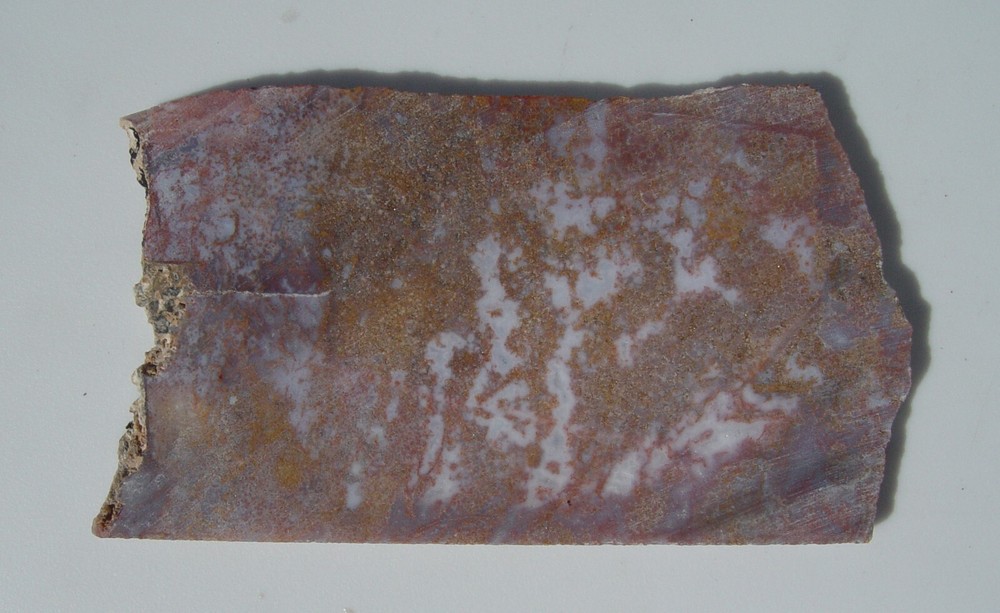Calico Moss Agate Lapidary Slab T722