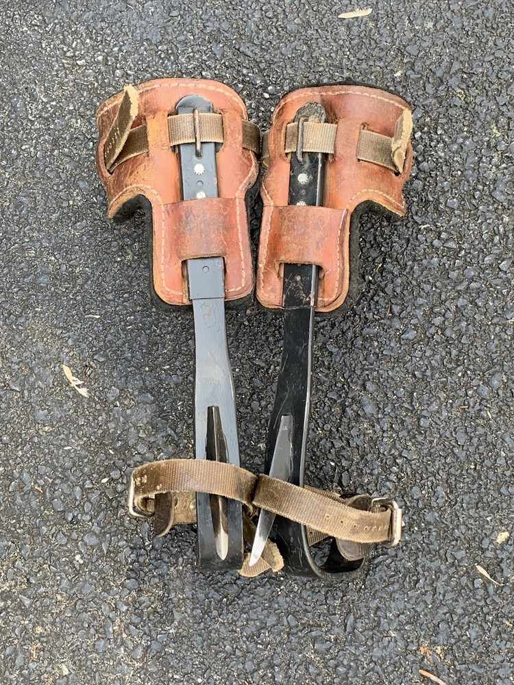 Buckingham Tree Climbing Spikes