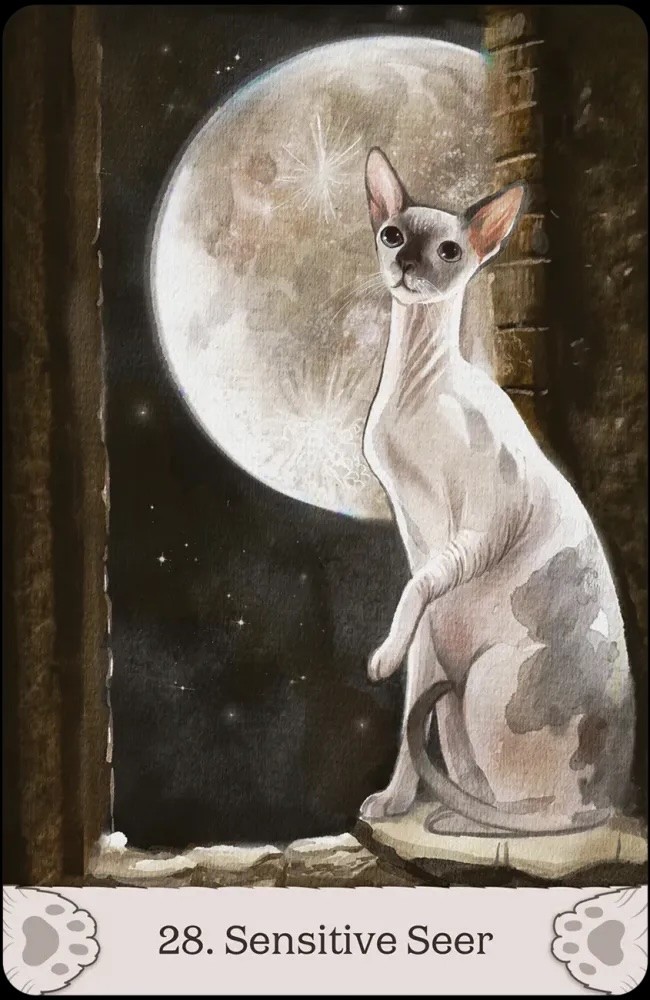 Cat Mythos & Magick Oracle Card Deck!