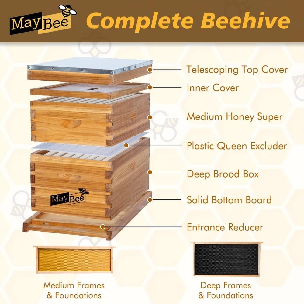 Beehive 8 Frame Bee Hives & Supplies Starter Kit Bee Hive Beginner Honey Bee