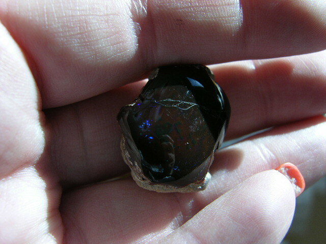 Opal Ethiopian chocolate polished in matrix nut w/multicolor precious fire CF30