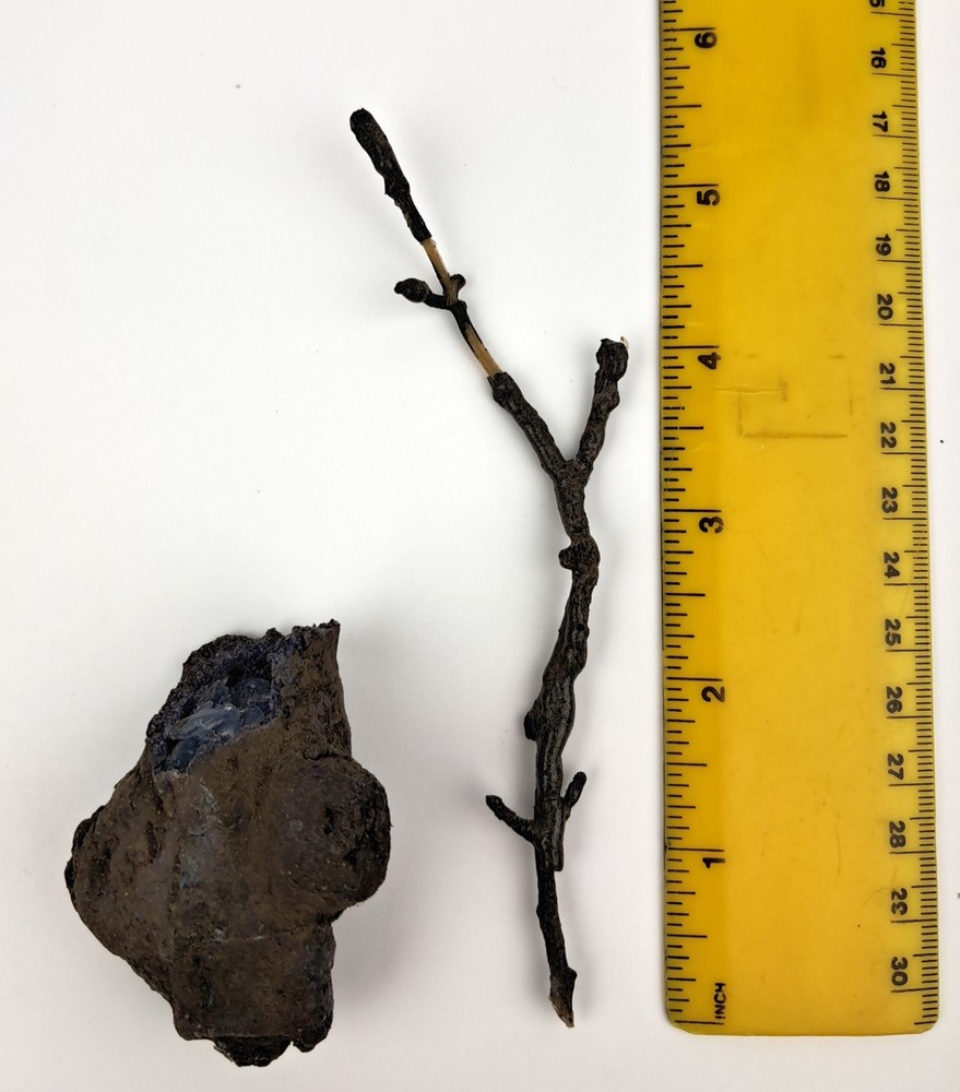 Once Upon a Time - TV Prop - Night Root pieces