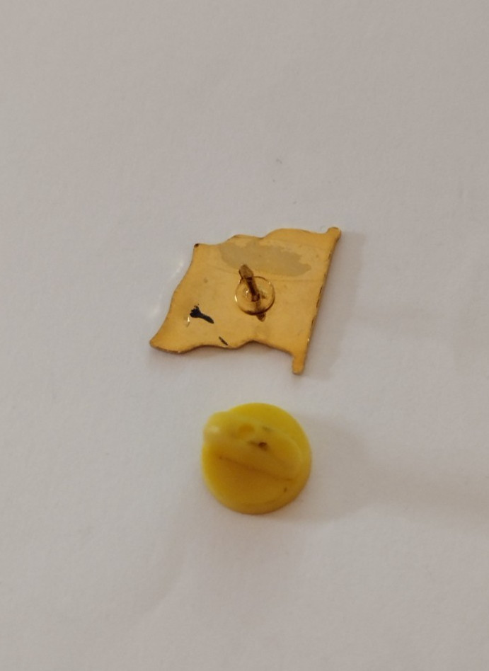 Washington DC Flag Pin