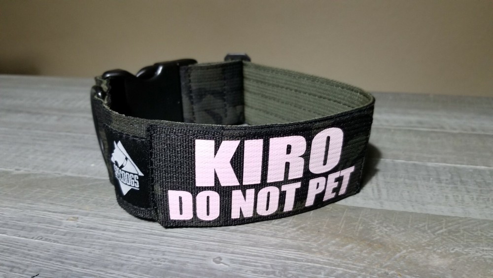 Tactical 2" K9 Gray Dog Collar With Handle, Name Patch quick side release buckle