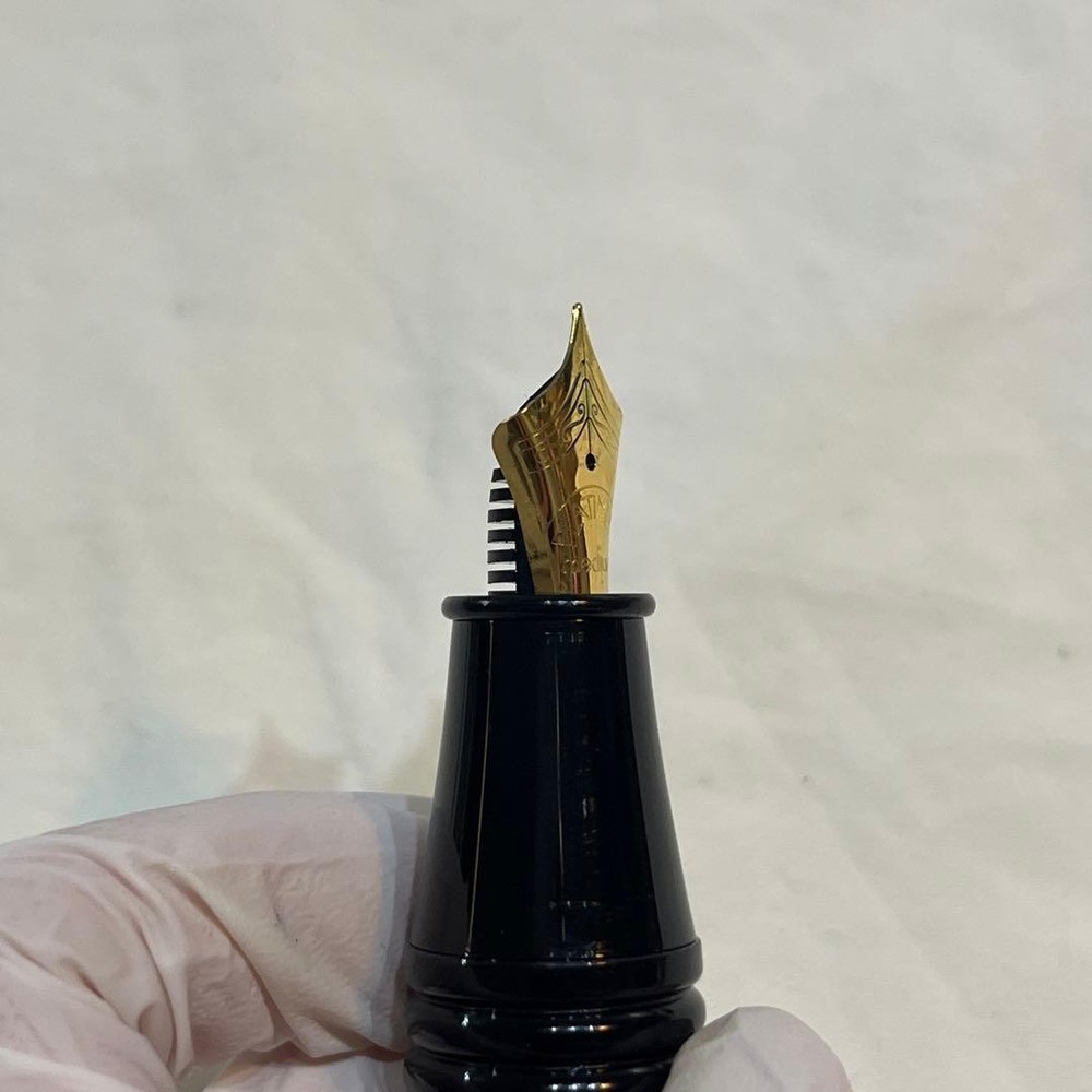 PLATINUM platinum medium fountain pen #54db0c