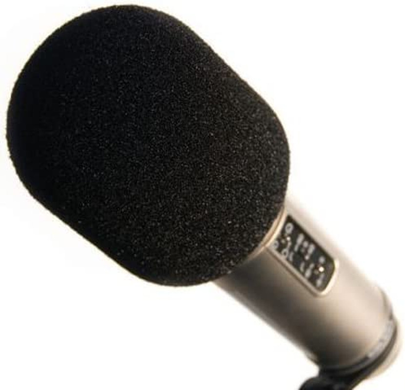 Rode PSM1 Microphone Shock Mount (Psm1D3) & WS2 Microphone Pop Filter/Wind Shiel