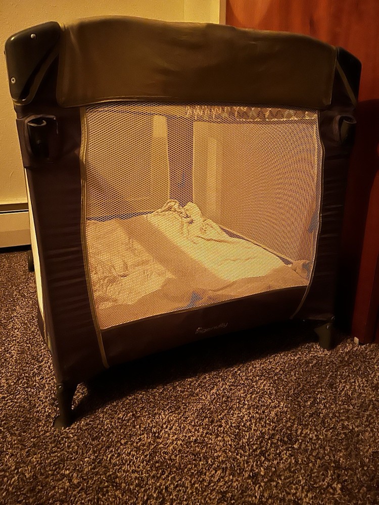 Ingenuity Brand Pack And Play Working Good Condition