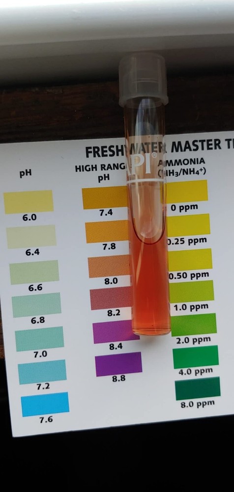 POND MASTER TEST KIT Pond Water Test Kit 500-Test