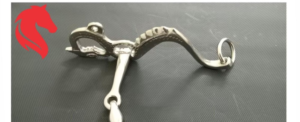 Fancy Premium Brass Dragon Horse Bit Custom Handmade Equestrian Training & Perfo