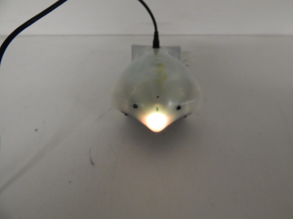 FINCH PROGRAMMABLE ROBOT (SQS120)