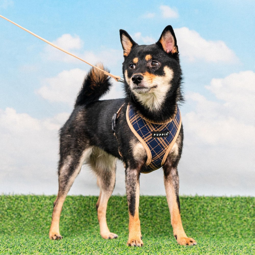 Corwin Dog Harness A (Over-The-Head) Fashionable Checkered Pattern Spring Sum...