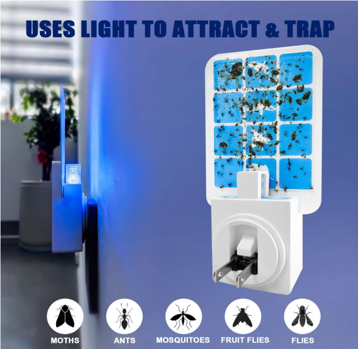 Indoor fly trap device with blue light, includes 6 devices and 8 refills, catche