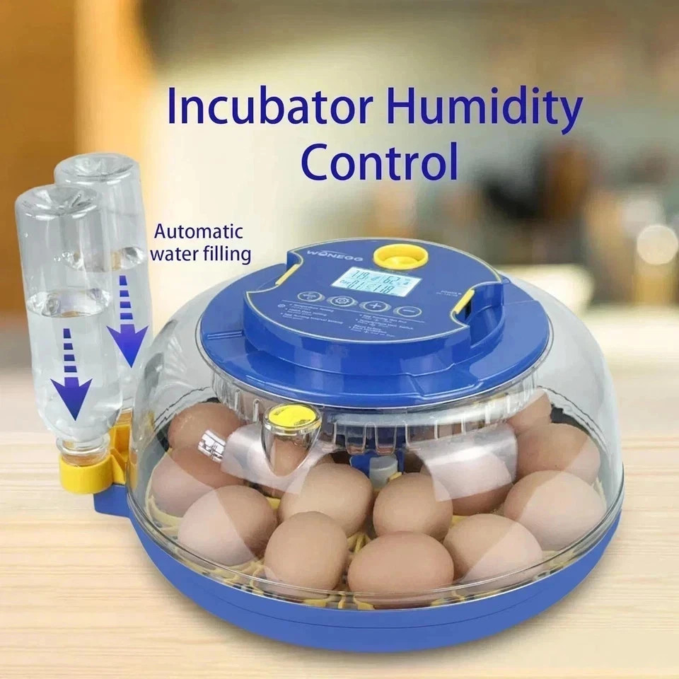Incubators for Hatching Eggs,18 Egg Incubator with Automatic Egg Turning and ...