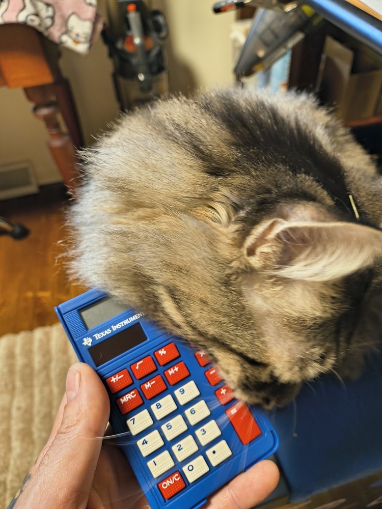 Texas Instruments TI-108 Elementary School Calculator NEW