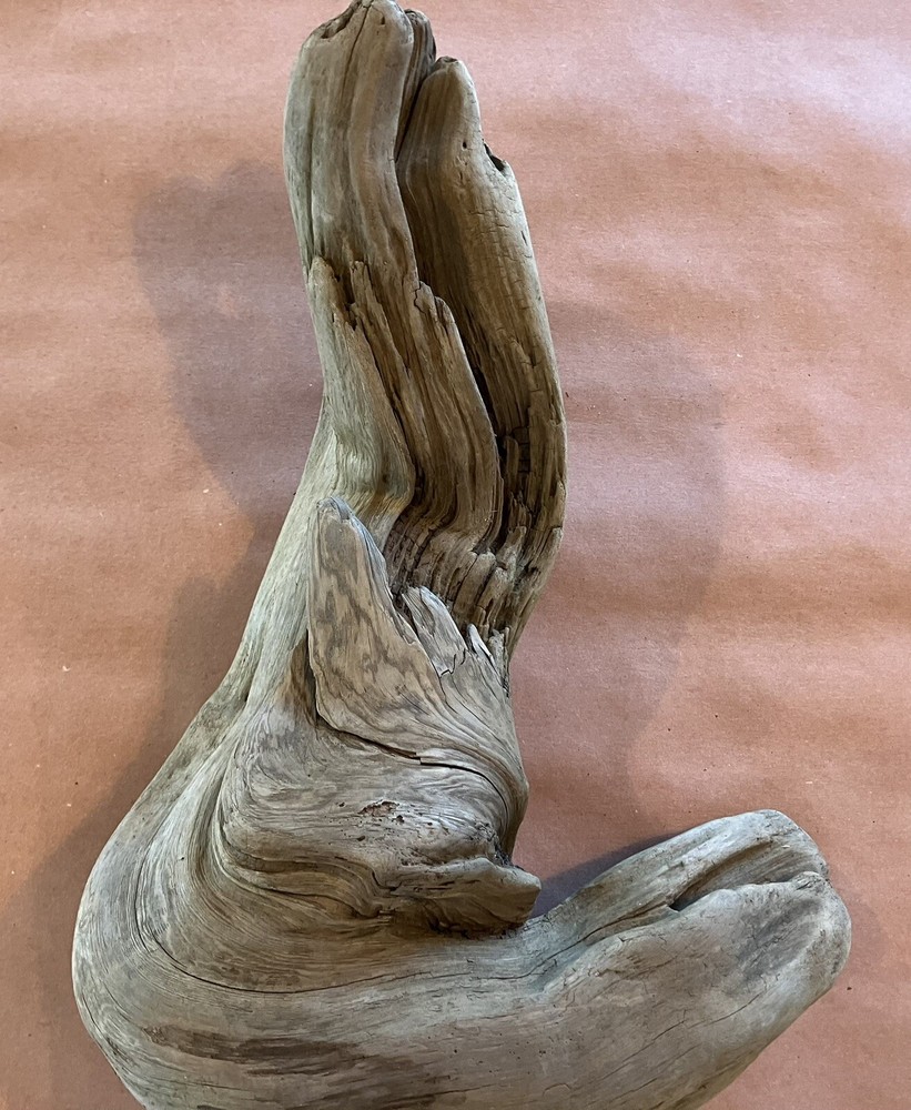 Beautiful Driftwood