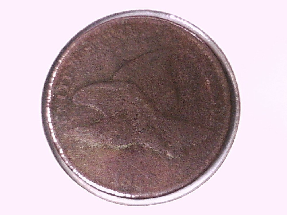 1858 Flying Eagle Cent Genuine Raw Ungraded 00489