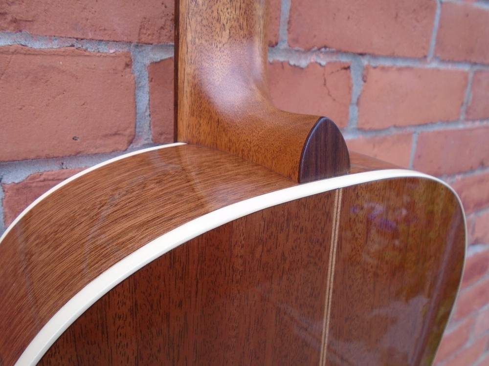 Godin Concert Classical Guitar SF