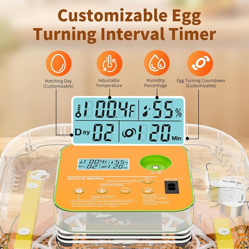 Incubator for Hatching Eggs, Temperature and Humidity Control, Automatic and Adj