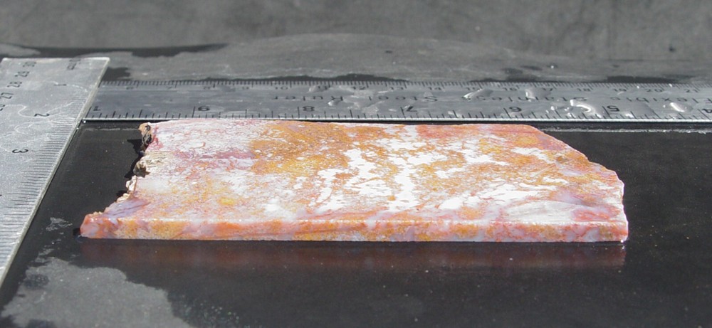 Calico Moss Agate Lapidary Slab T722