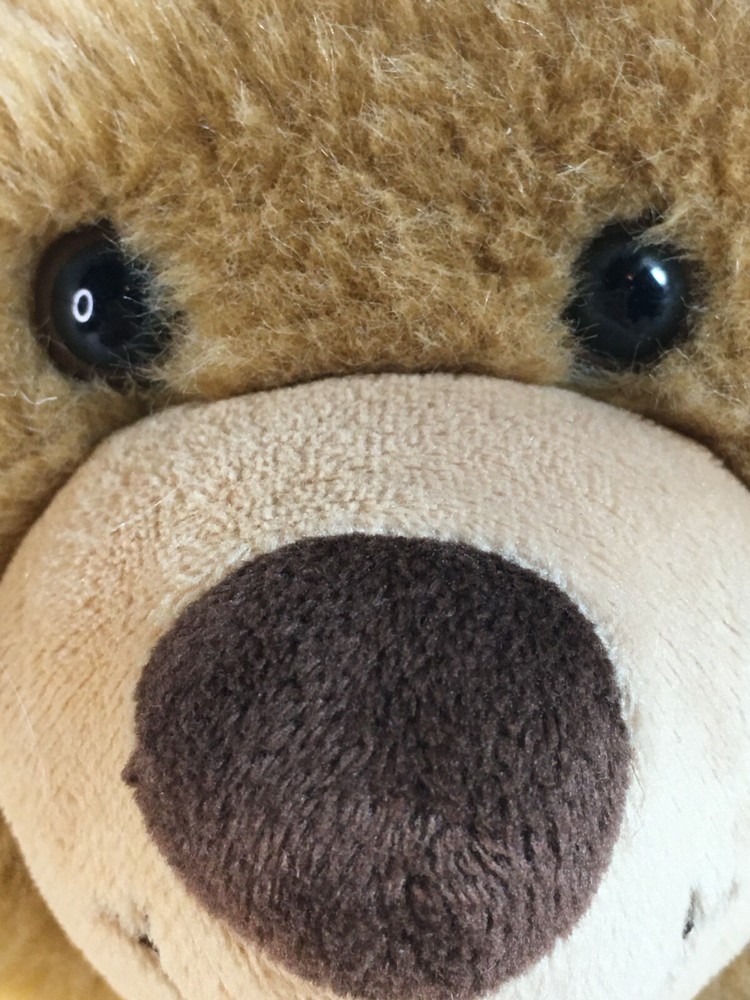 Build A Bear Workshop Rock Brown Bear Plush Toy 15 in