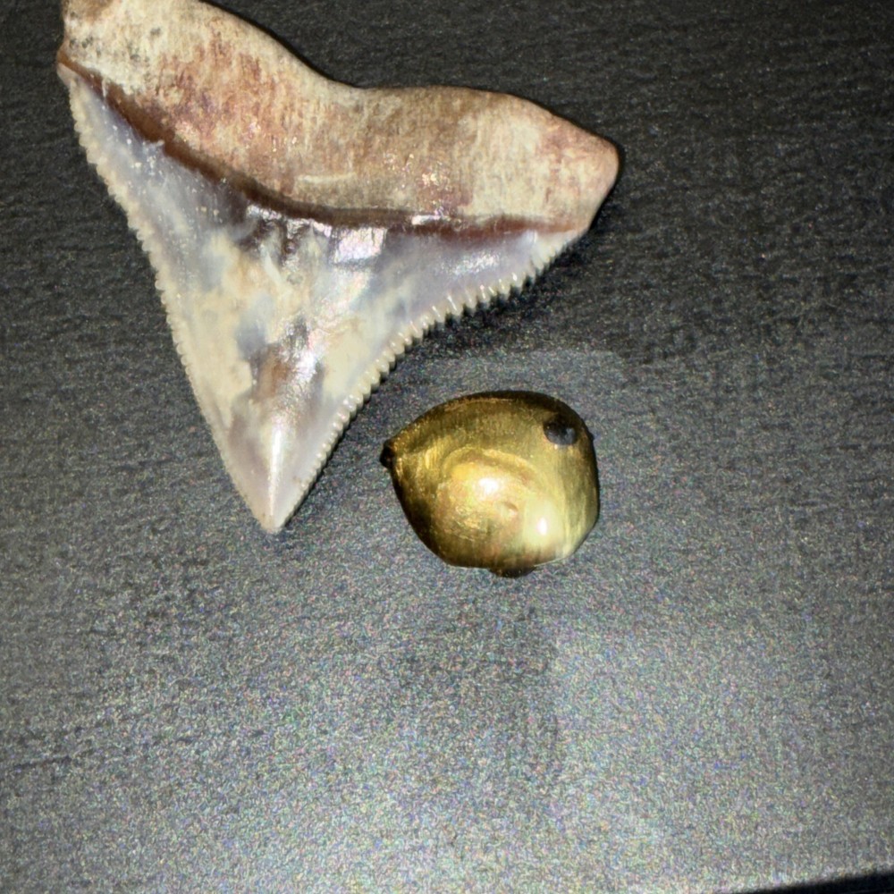 Gold nugget with small iron deposits