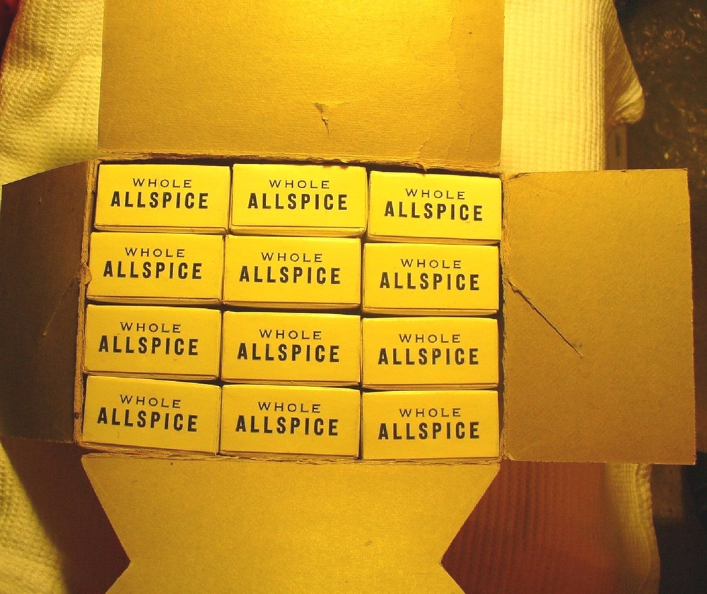 Vintage PLEE-ZING ALLSPICE Spice Box - NOS - Mint Condition