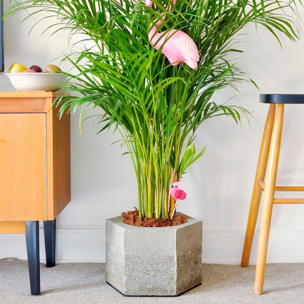 10LB Compressed Coconut Coir Chips, 100% Natural Organic Coco Husk Chips Coco...