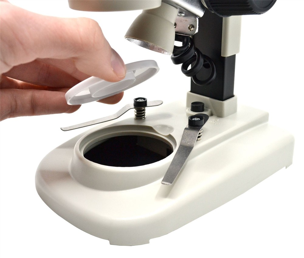 Stereoscopic Microscope, 45 Degree Binocular Head, Adjustable Pillar -Eisco Labs