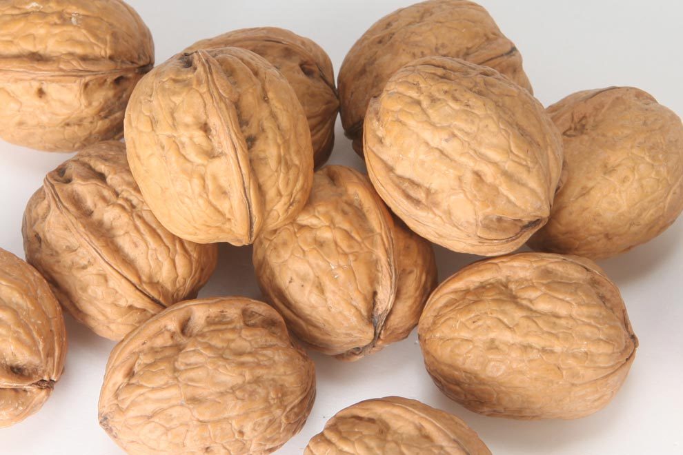 Freshly Harvested California Raw In shell Walnuts -BLEACHED