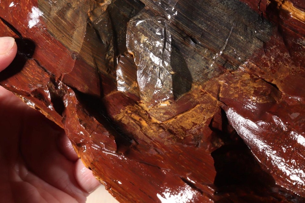 Biggs Scenic type Jasper lapidary 5 lb 10 oz end cut rough