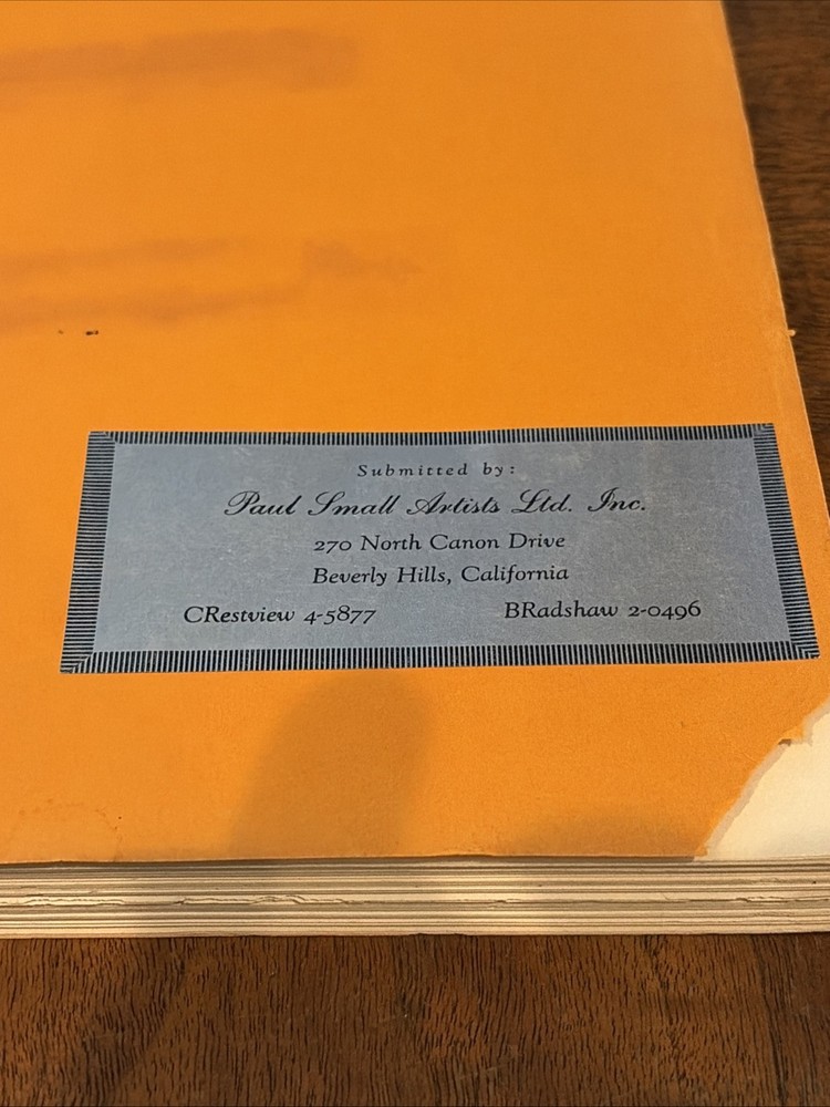 Vintage Movie Script “Himalayan Assignment” Unproduced Film Screenplay
