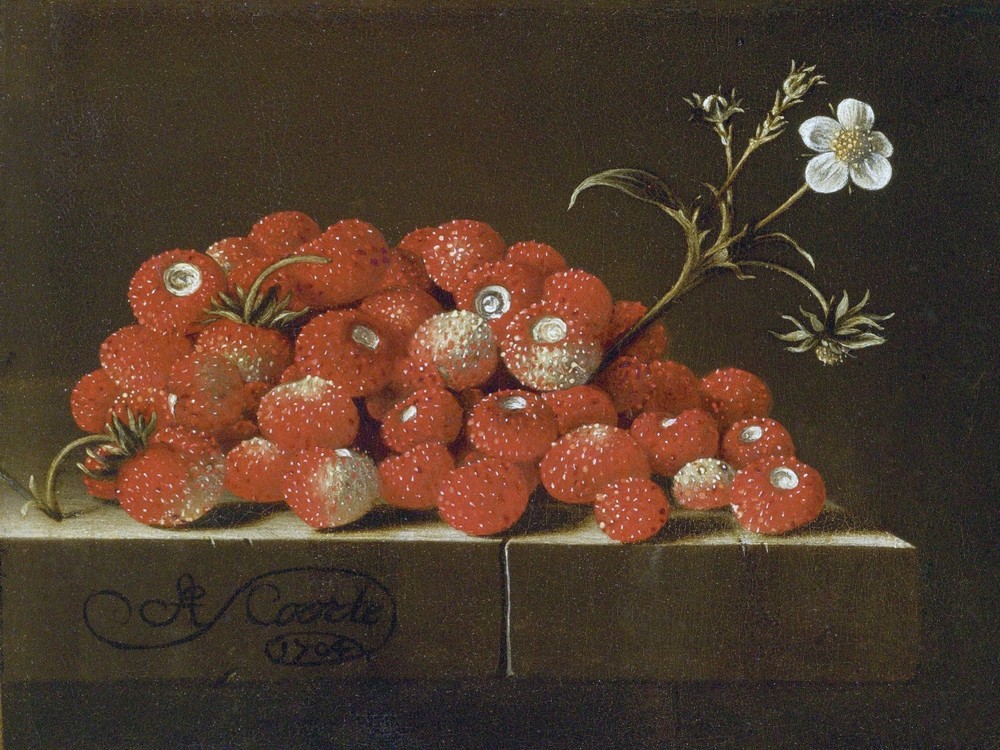 WILD STRAWBERRIES ON A LEDGE Accent Tile Mural Kitchen Bathroom Backsplash 8x6