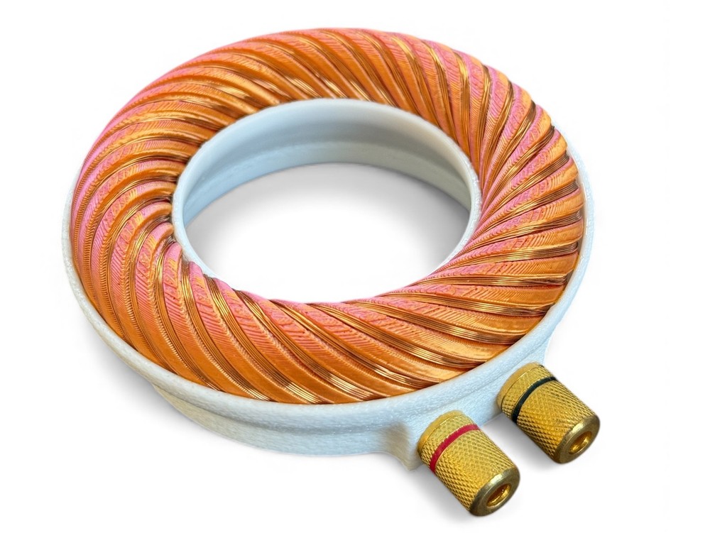 Rodin coil Scalar Wave toroidal field generator module
